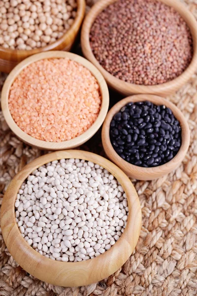 Different type of pulses — Stock Photo, Image