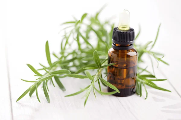 Rosemary essential oil — Stock Photo, Image