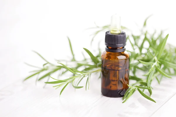 Rosemary essential oil — Stock Photo, Image