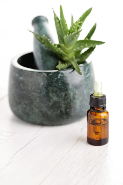 Aloe vera eterisk olja — Stockfoto