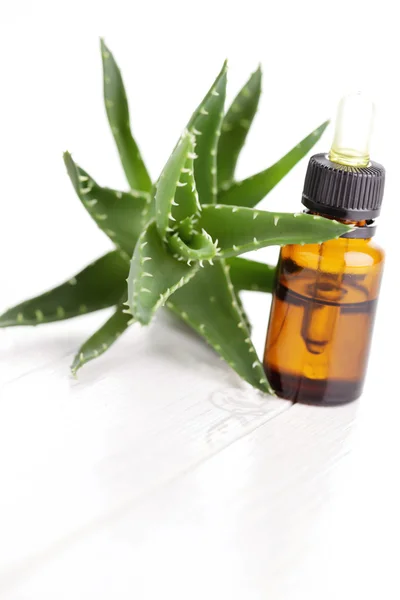 Ätherisches Öl der Aloe vera — Stockfoto