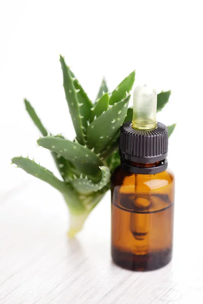 Ätherisches Öl der Aloe vera — Stockfoto