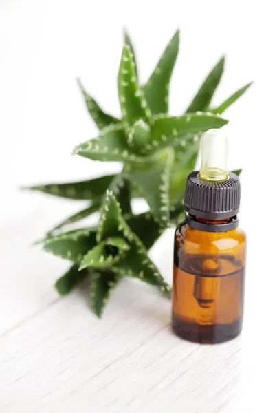 Aloe vera essential oil — Stock Photo, Image