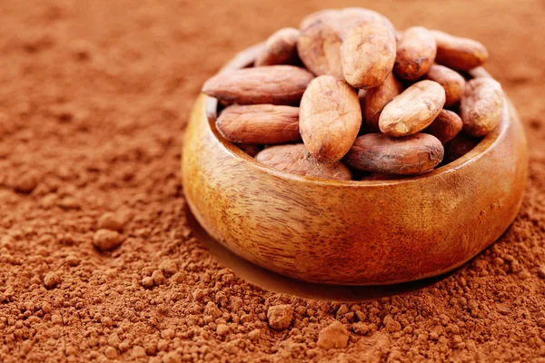 Granos de cacao — Foto de Stock