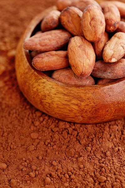 Granos de cacao — Foto de Stock