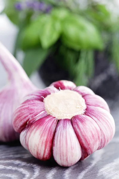 Kräuter und Knoblauch — Stockfoto