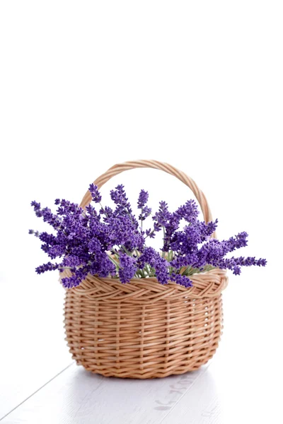 Korb mit Lavendel — Stockfoto