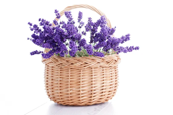 Basket of lavender — Stock Photo, Image