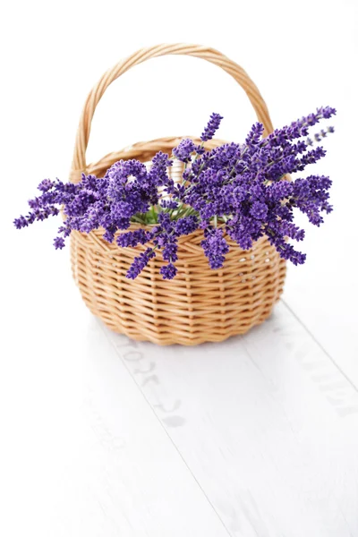 Korb mit Lavendel — Stockfoto