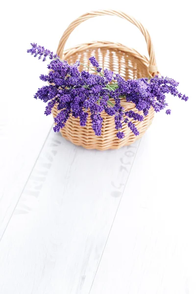 Korb mit Lavendel — Stockfoto