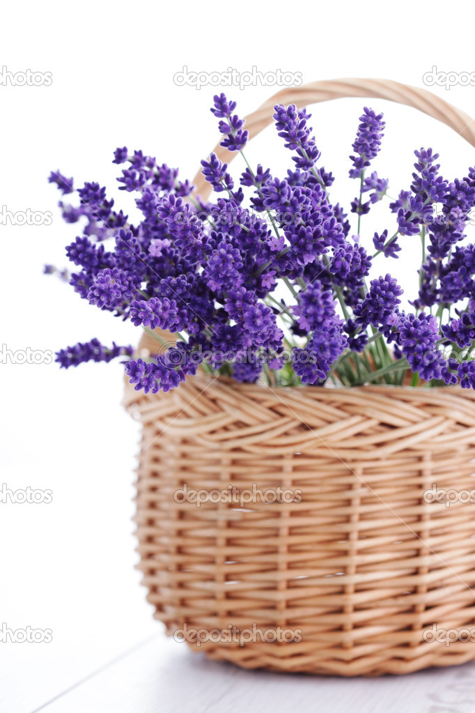cesta de lavanda — Fotografias de Stock © matka_Wariatka #48676253
