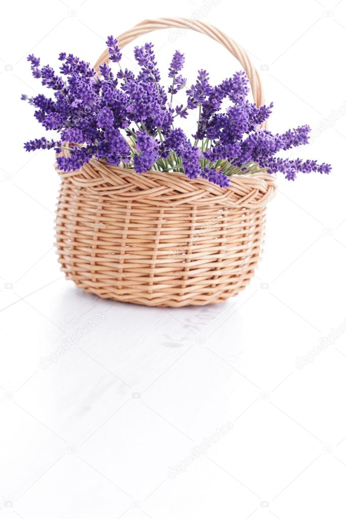 Cesto di lavanda - Foto Stock: Foto, Immagini © matka_Wariatka 48676263