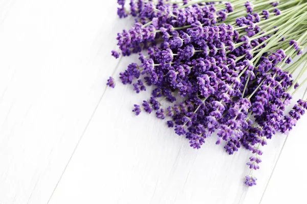 Lavanda — Fotografia de Stock