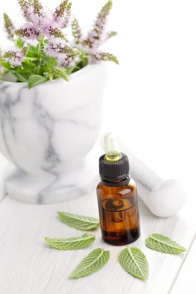 Essential oil and mint — Stock Photo, Image