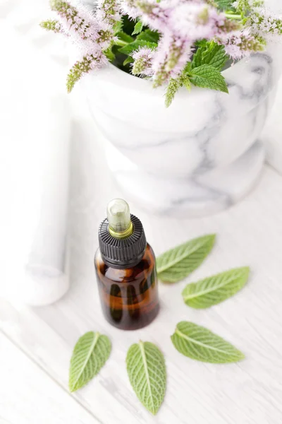 Essential oil and mint — Stock Photo, Image