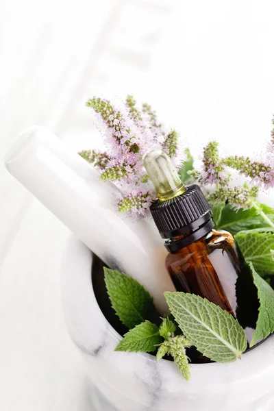 Essential oil and mint — Stock Photo, Image