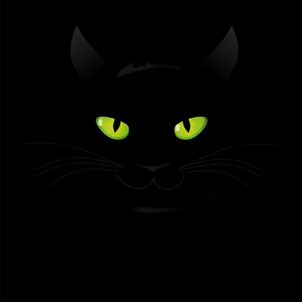 Vektor-Katze auf schwarzem Hintergrund — Stockvektor