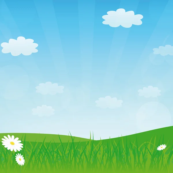Vector spring or summer background — Stock Vector