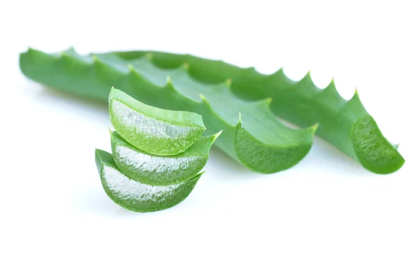 Leaf of aloe — Stock Photo, Image