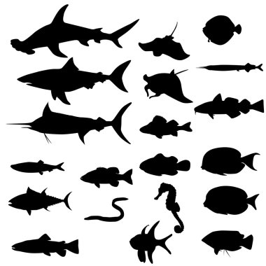 Silhouettes of european fishes vector Silhouettes of european fishes vector