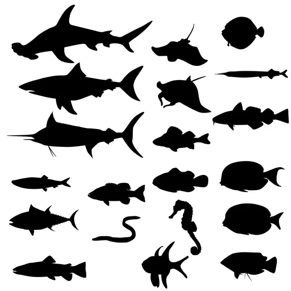 Siluetas de peces europeos — Archivo Imágenes Vectoriales