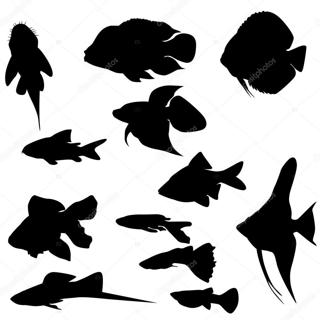 Silhouettes of european fishes