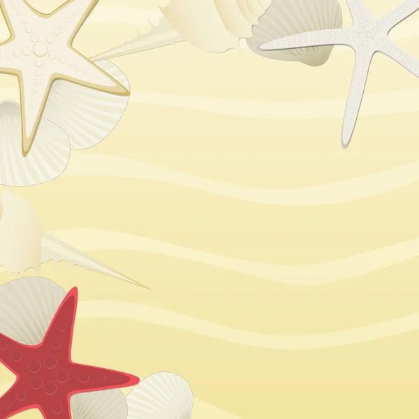 Пляжный фон с морскими звездами и ракушками — стоковый вектор