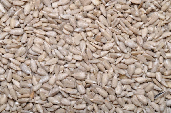 Sunflower seeds — Stock Photo, Image