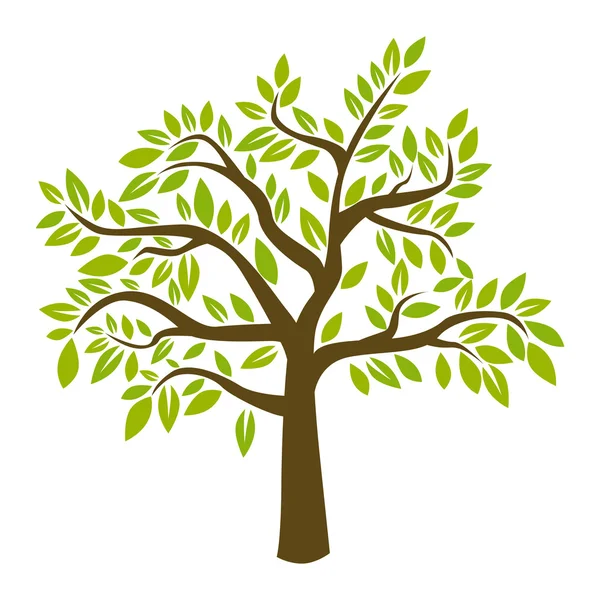 Árbol vectorial — Vector de stock