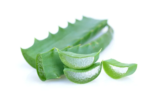 Leaf of aloe — Stock Photo, Image