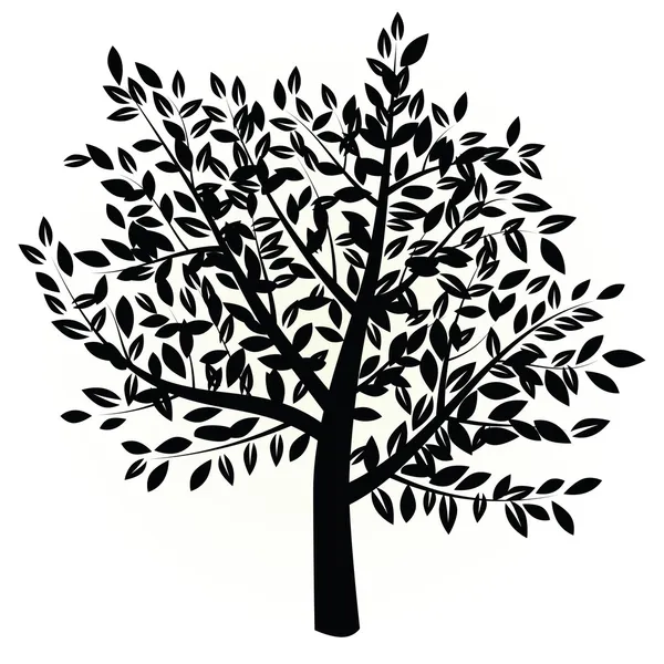 Árbol vectorial — Vector de stock