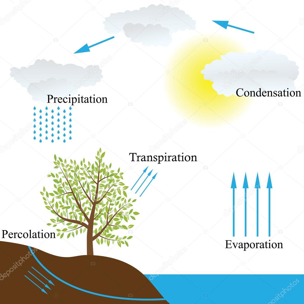 water cycle in nature