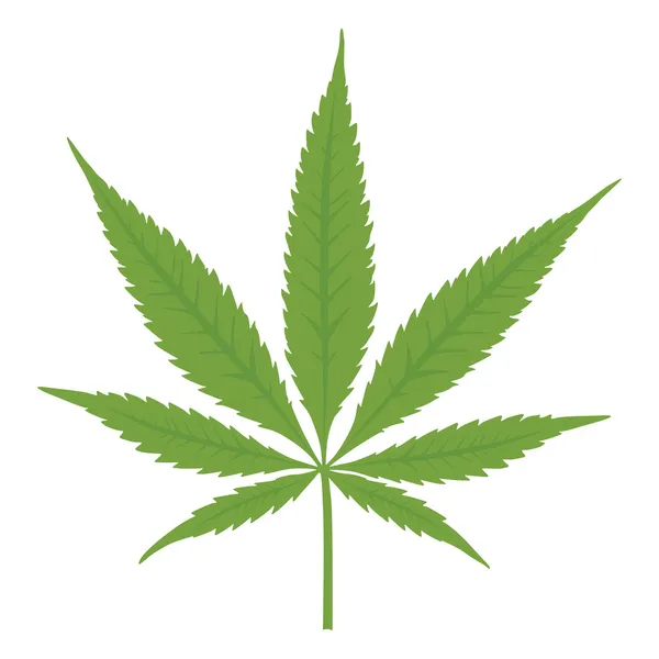 Foglia di cannabis vettoriale. Marijuana . — Vettoriale Stock