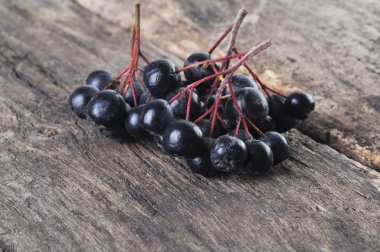 Aronia çilek