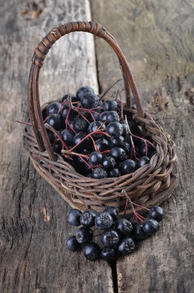 Aronia berries — Stock Photo, Image