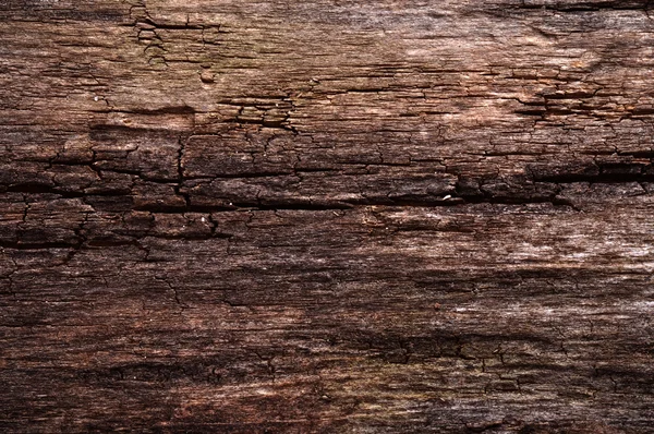 古い木のグランジの背景 — ストック写真