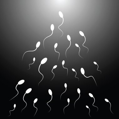 Vector illustration of spermatozoon clipart