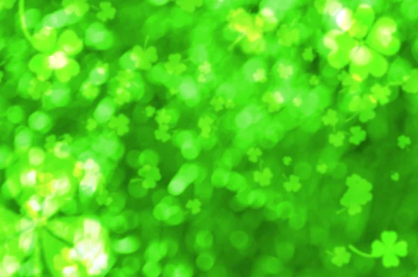 Bokeh effect with blurred clovers. St. Patrick's Day background — Stock Photo, Image