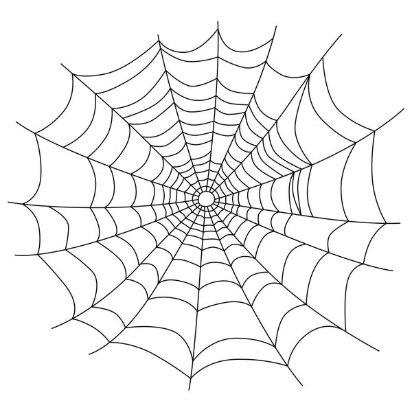 Паутина изолирована на белом, векторном
