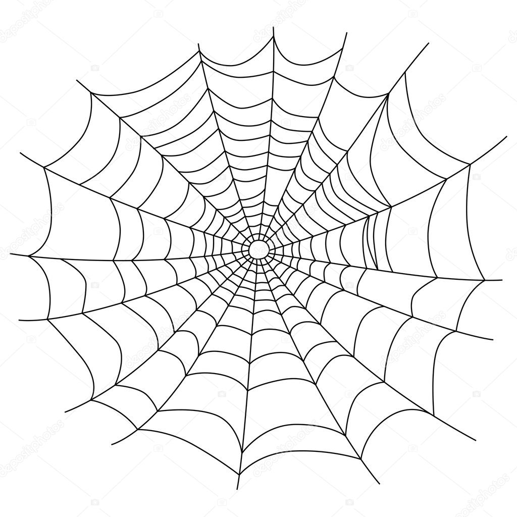 Spider web isolated on white, vector