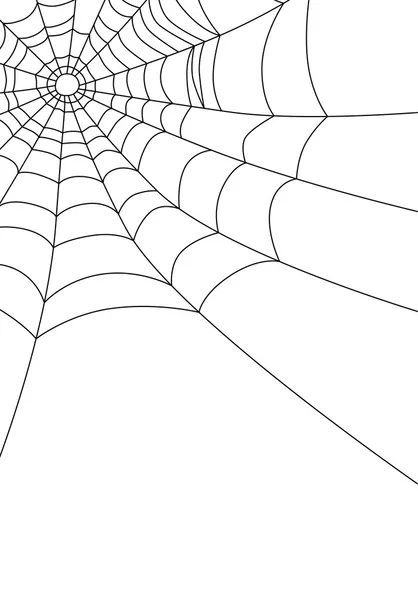 örümcek ağı üzerinde beyaz, vektör izole