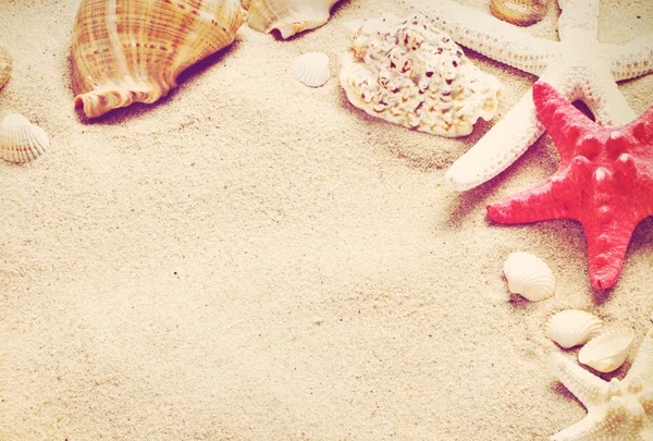 老式度假背景与海星和贝壳 — 图库照片