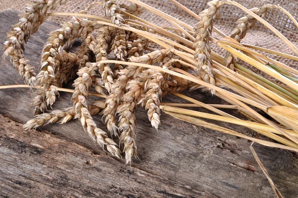 Wheat on the wooden table — Stock Photo, Image