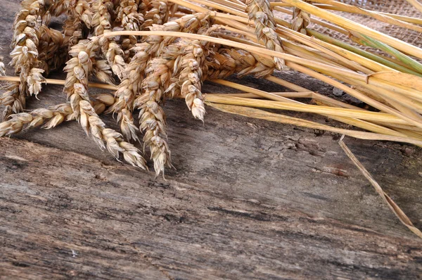 Wheat on the wooden table — Stock Photo, Image