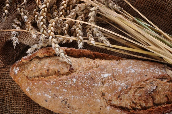 Zbliżenie: tradycyjny chleb domowej roboty — Zdjęcie stockowe