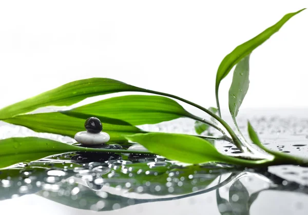 Asya Eko arka planlar ile bambu ve su damlaları