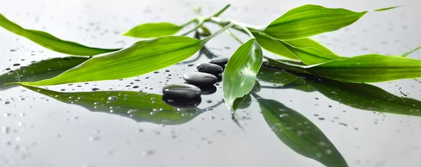 Spa still life with zen stone and bamboo for banner — Stock Photo, Image