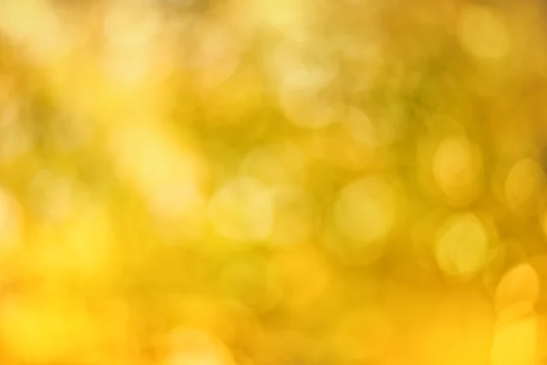 Soft blurry bokeh space background of golden yellows.Autumn colors — Stock Photo, Image
