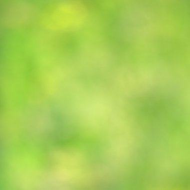 doğal yeşil renkli, kopya alanı dolu arka plan bulanık.