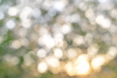 güzel doğal bokeh. Yeşil bulanıklık doğa bokeh arka planda açık renkleri